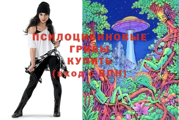 спайс Аркадак