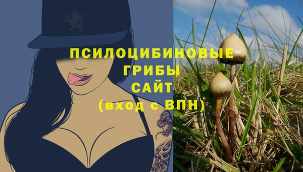 эйфоретик Белокуриха