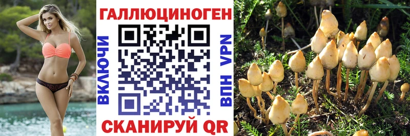 Галлюциногенные грибы Magic Shrooms  Певек 